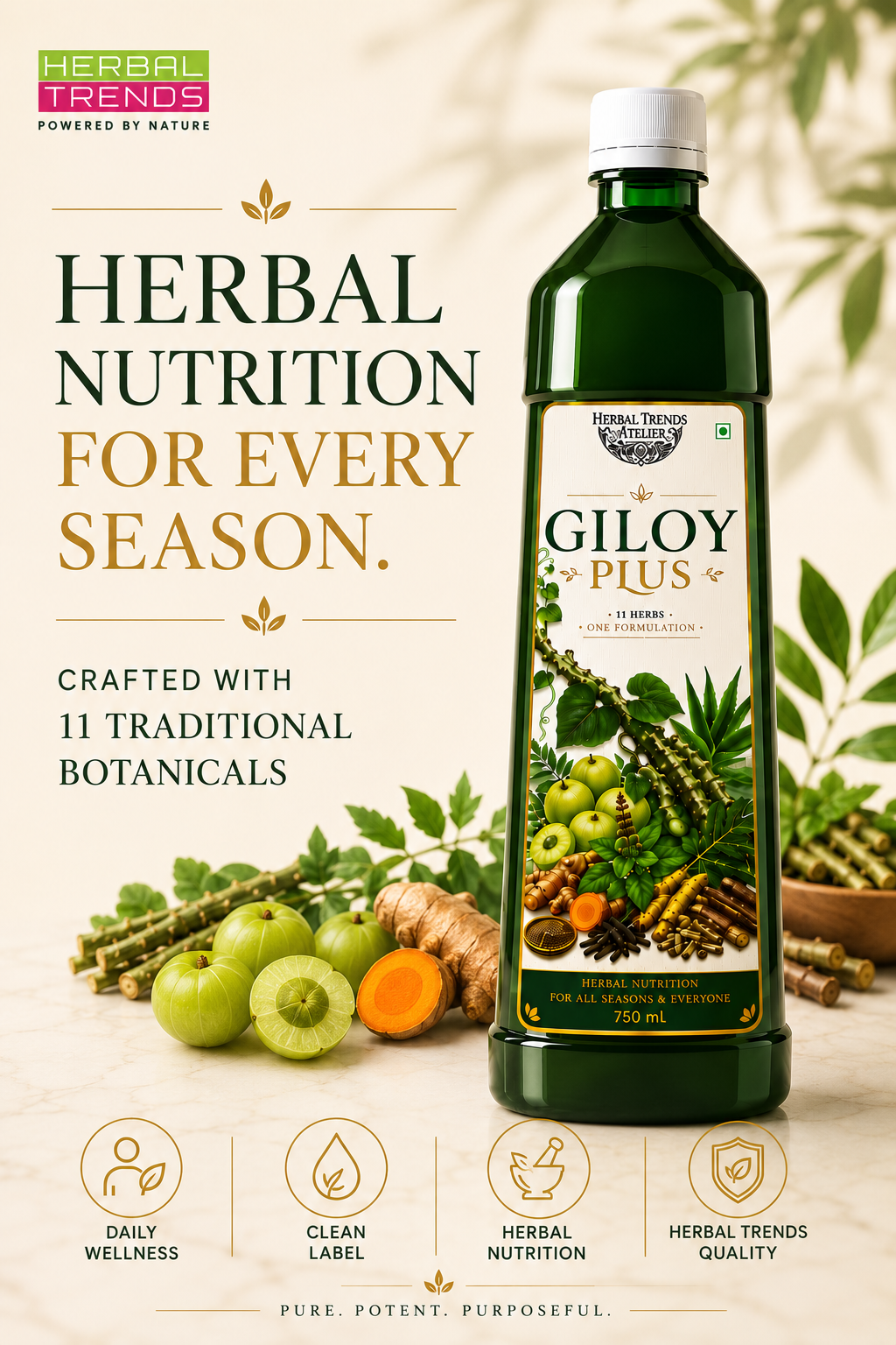 Giloy Plus- Natural Immunity Booster Juice- Enriched with Aloevera,Tulsi, Amla, Amba Haldi, Daru Haldi, Pipli & Kutki - 750ml
