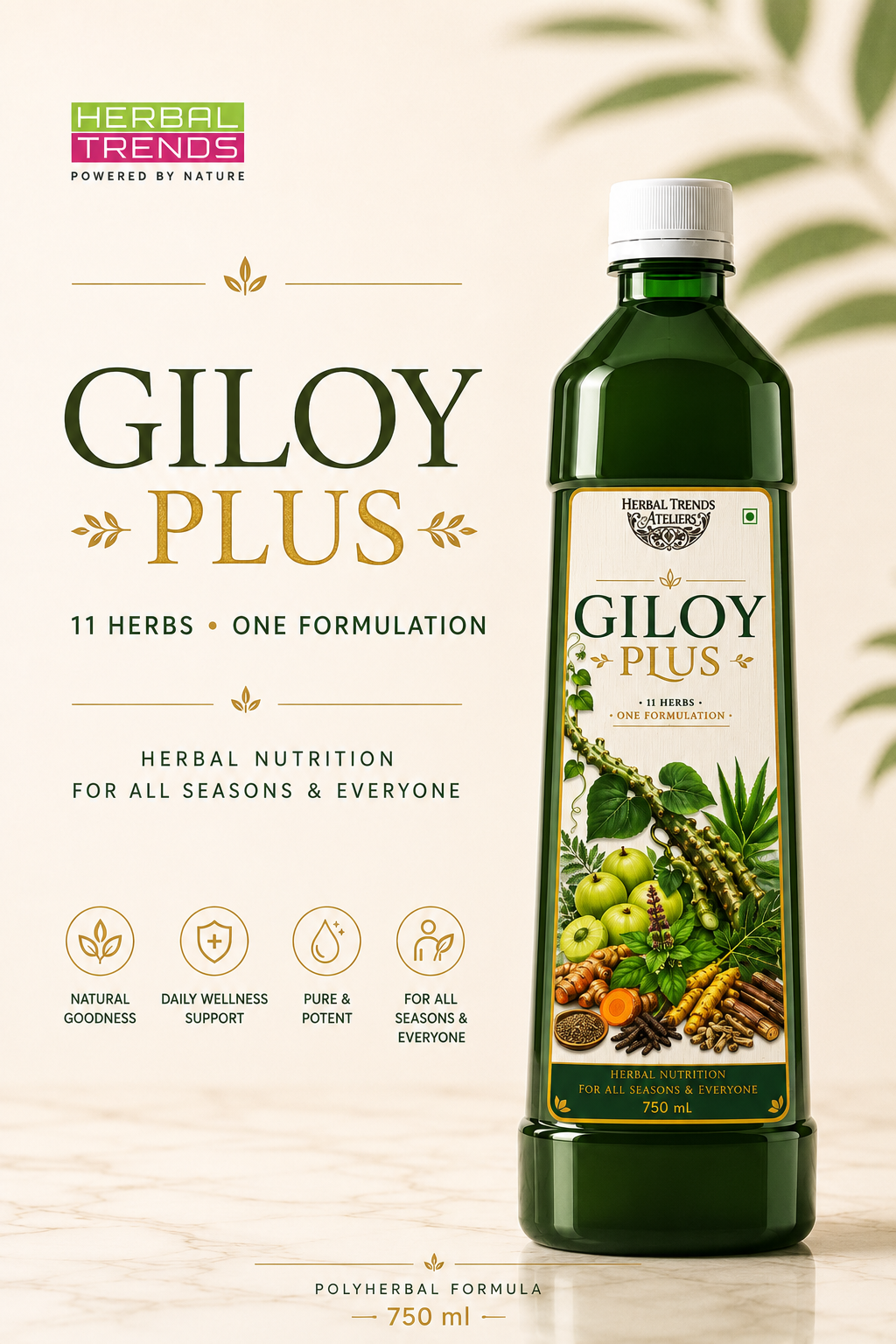Giloy Plus- Natural Immunity Booster Juice- Enriched with Aloevera,Tulsi, Amla, Amba Haldi, Daru Haldi, Pipli & Kutki - 750ml