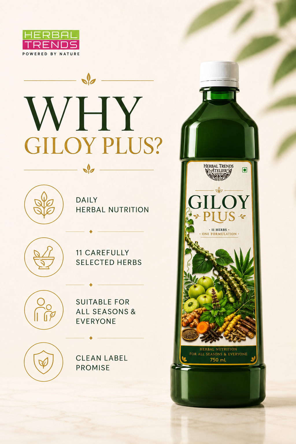 Giloy Plus- Natural Immunity Booster Juice- Enriched with Aloevera,Tulsi, Amla, Amba Haldi, Daru Haldi, Pipli & Kutki - 750ml