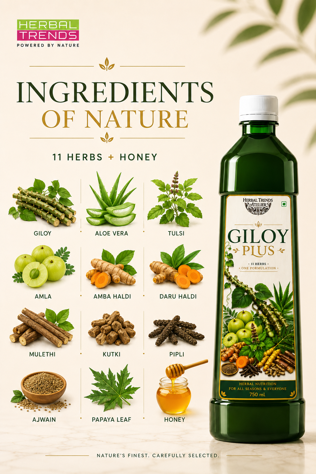 Giloy Plus- Natural Immunity Booster Juice- Enriched with Aloevera,Tulsi, Amla, Amba Haldi, Daru Haldi, Pipli & Kutki - 750ml