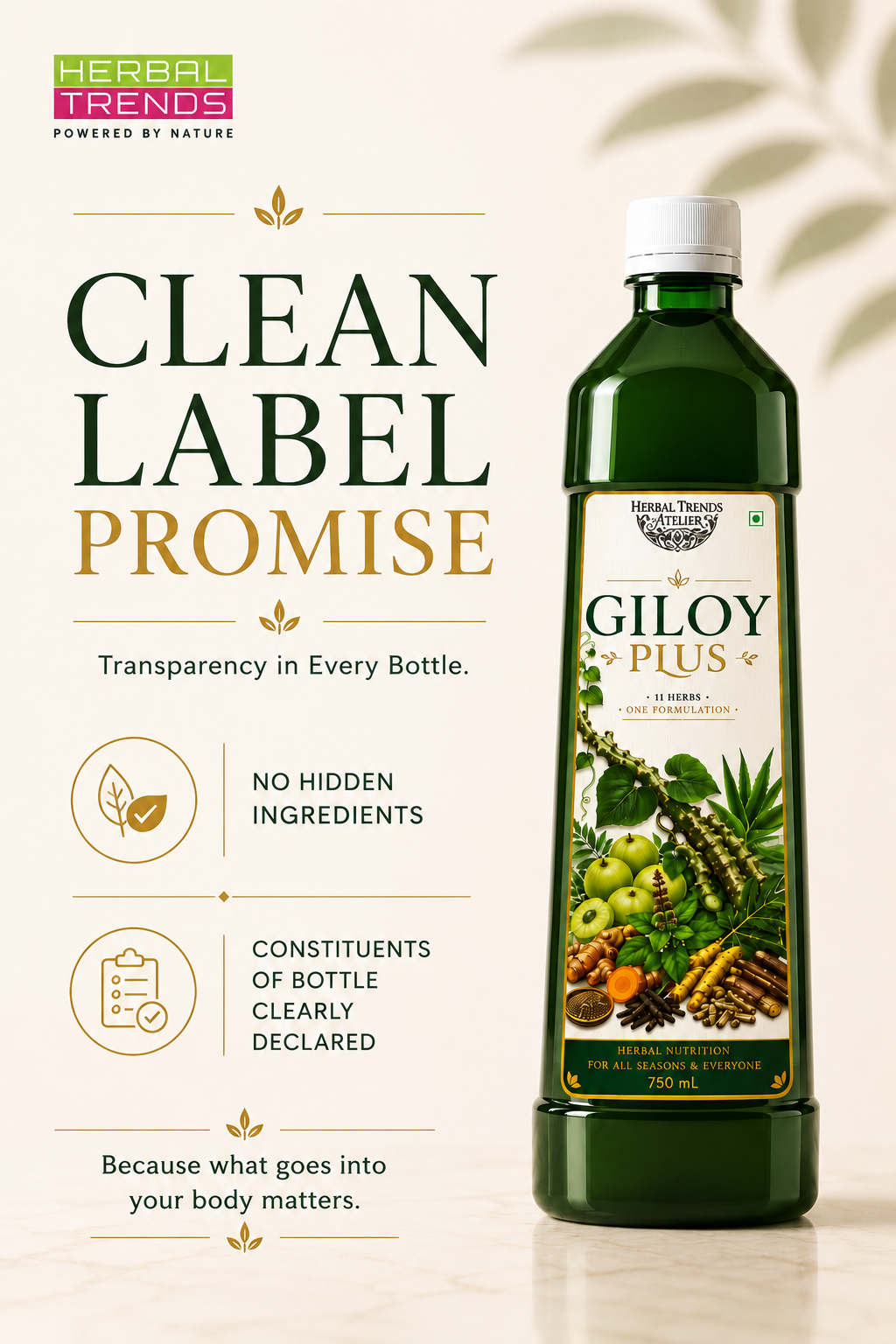 Giloy Plus- Natural Immunity Booster Juice- Enriched with Aloevera,Tulsi, Amla, Amba Haldi, Daru Haldi, Pipli & Kutki - 750ml