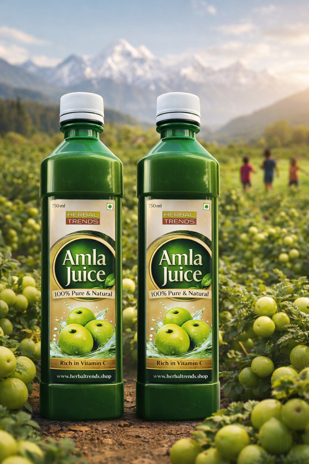 Amla Juice 750 ml Pure and Natural Source of Vitamin C and Dietary Fibre