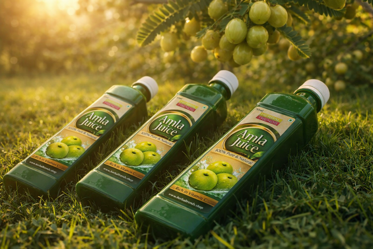 Amla Juice 750 ml Pure and Natural Source of Vitamin C and Dietary Fibre