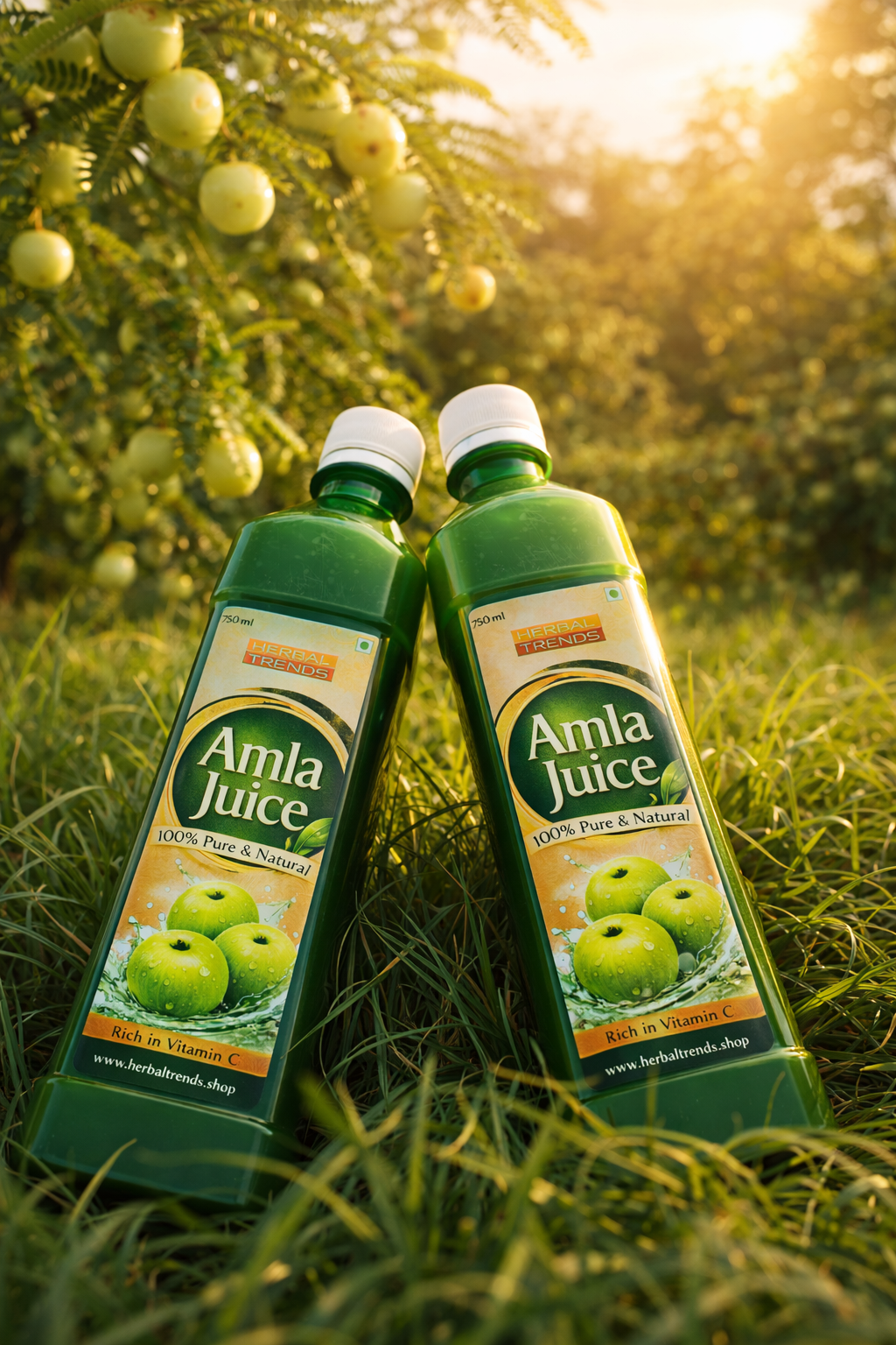 Amla Juice 750 ml Pure and Natural Source of Vitamin C and Dietary Fibre