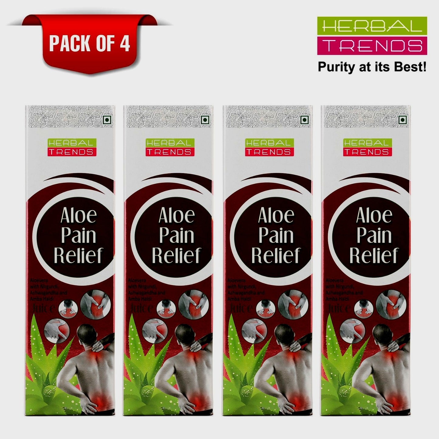 Aloe Pain Relief Juice- Body and Joint Pain Relief- Ayurvedic Safe Blend of 6 Herbs- Pure & Natural Ras-750ml